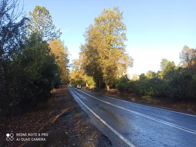 Hermosa parcela en sexta faja cercana a Villarrica