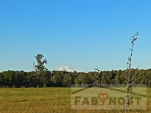 Venta de Parcelas de 1 Hectárea con Alta Conectividad en Panguipulli